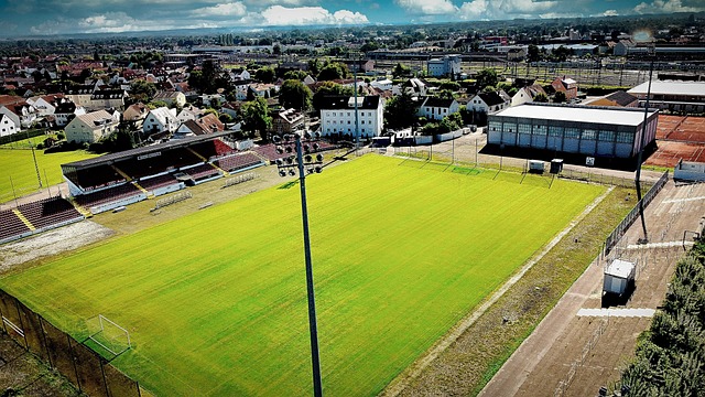 历史意义 历史意义