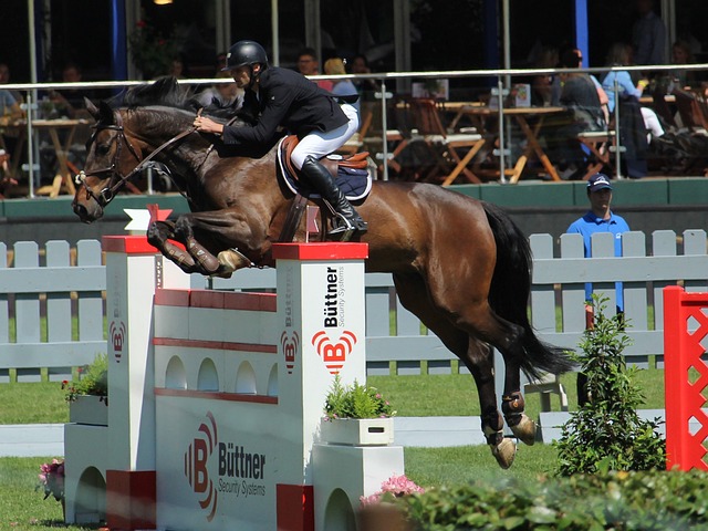 如果没有条 如果没有条