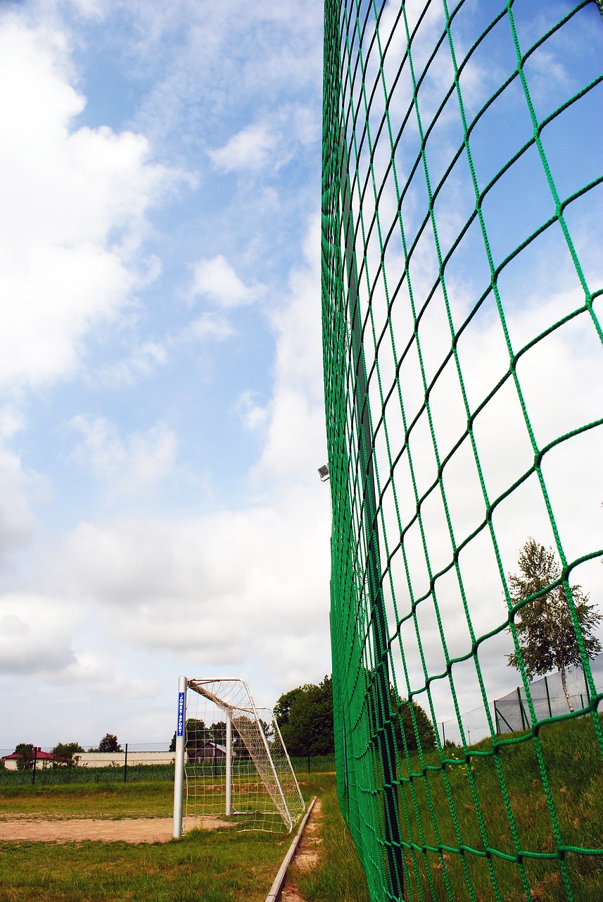 无论是尼克 无论是尼克