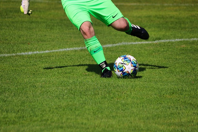 将进一步提 将进一步提